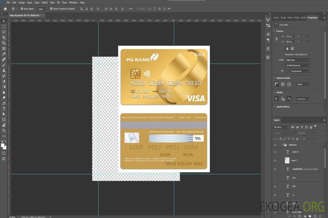 Carte de crédit visa Gold du Vietnam PG Bank template Carte de crédit visa Gold du Vietnam PG Bank template
